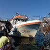 P1000480.JPG