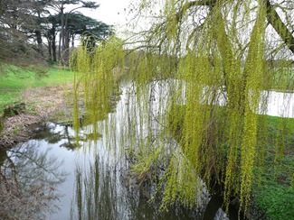 Attingham park