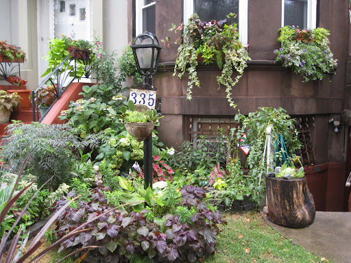 A truly exceptional example of a beautiful front yard. This is the kind of garden that kicks off the garden domino-effect on a block.