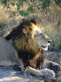 South Africa - 505.JPG