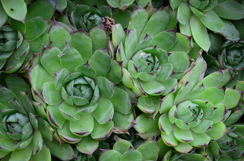 [chateau%252044%255B4%255D.jpg]