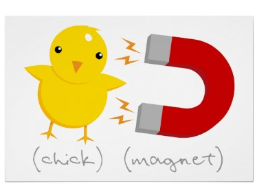 chick magnet.jpg
