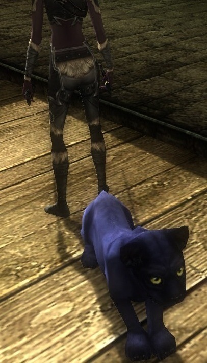 pet pet