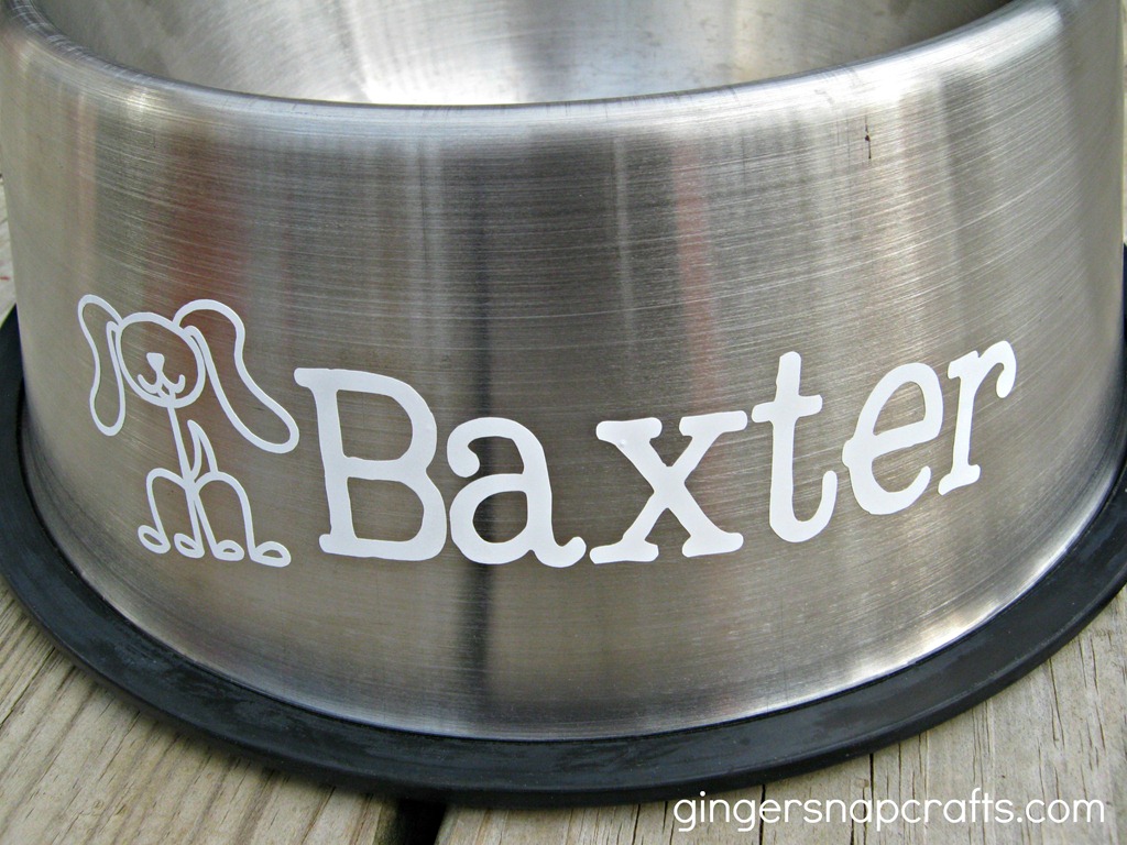 [dog-bowl-metal5.jpg]