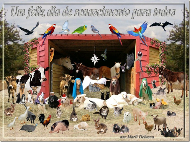 cartao_felizdia cartao_felizdia