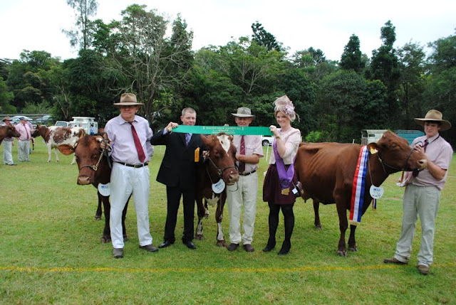 Champion Cow lineup & presentation.JPG