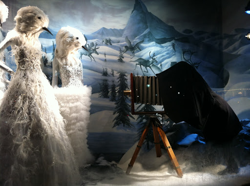 These life-sized birds were dressed in couture to have their photo taken.