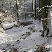 IMG_2364.JPG