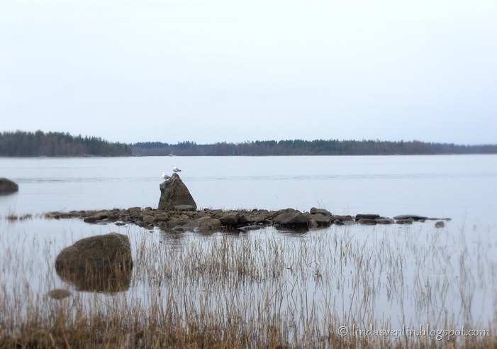 DSC065711