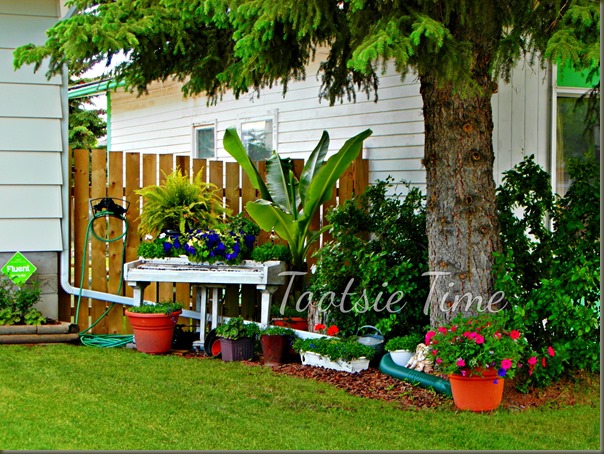 BeFunky_186.jpg BeFunky_186.jpg