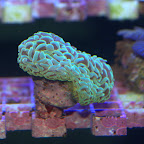 DSC_2115.jpg