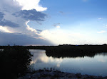 IMG_4236.jpg
