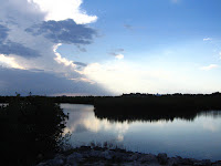 IMG_4236.jpg