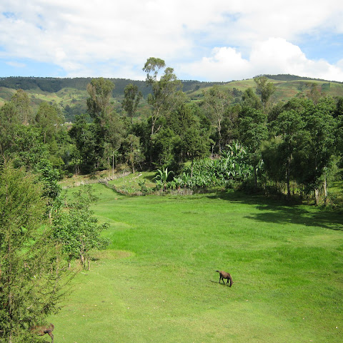 Some areas in the highlands are lush and green for most of the year