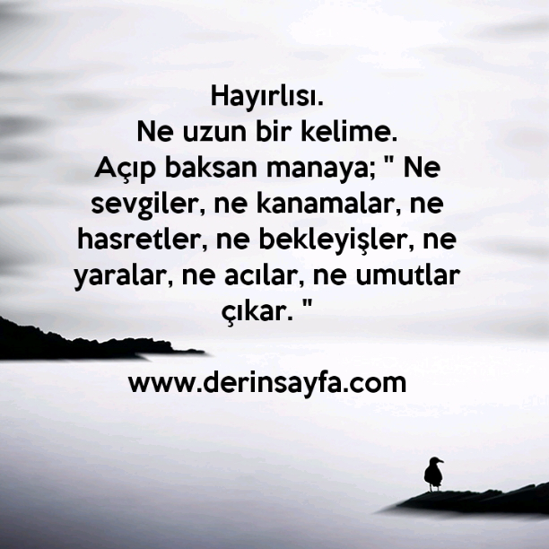 Hayırlısı. Ne uzun bir kelime. Açıp baksan manaya.. - güzel sözler dini