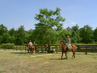 PICT0364.JPG