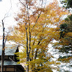 hokkaido_807.jpg