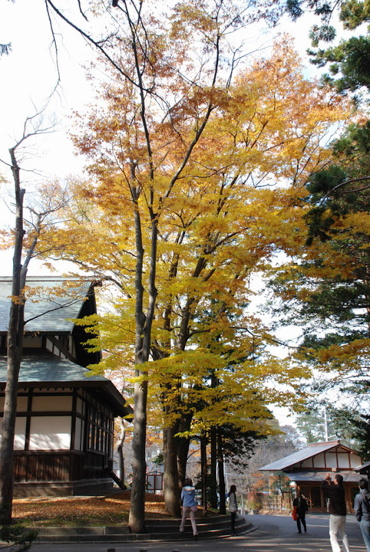 hokkaido_807.jpg