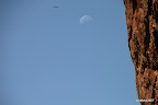 Moon, bird, facade