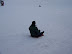 Playing in the Snow