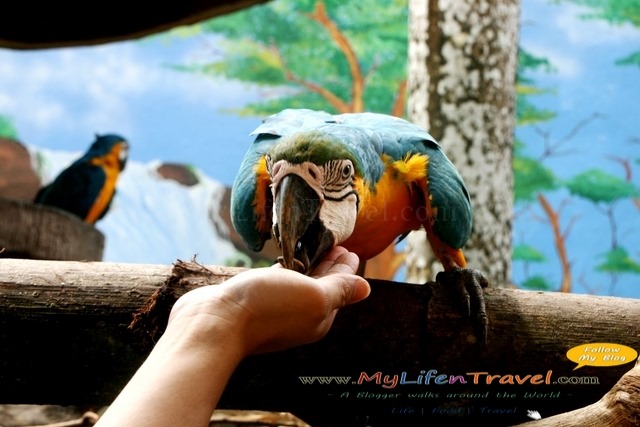Langkawi Wildlife Park Langkawi Wildlife Park
