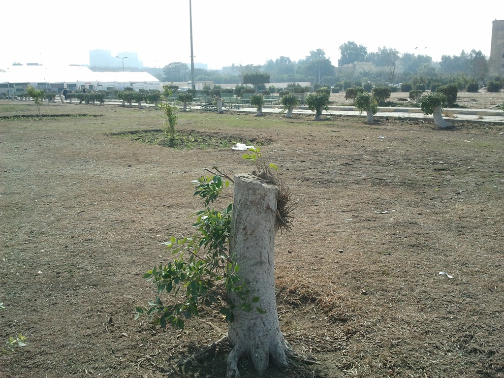 [2012-01-23%252012.22.22%255B3%255D.jpg]