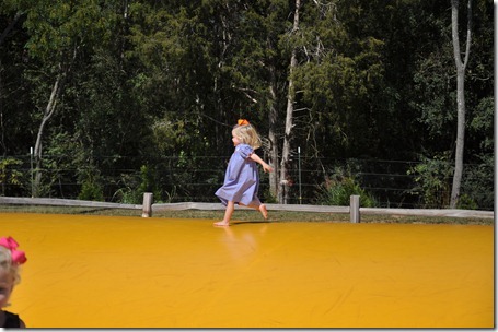 southern belle farm 100611 (30)