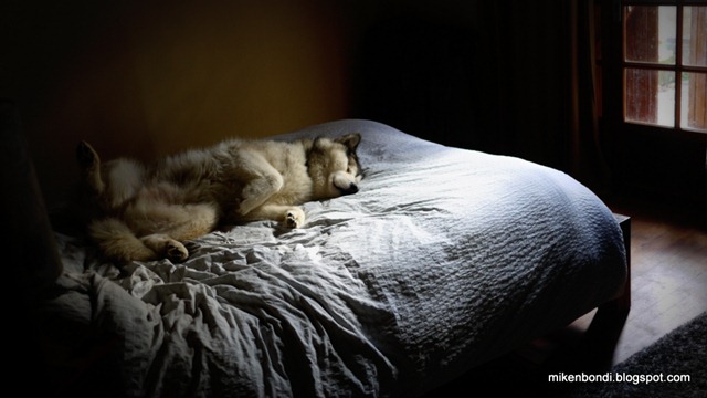 Munson - Occupy the bed