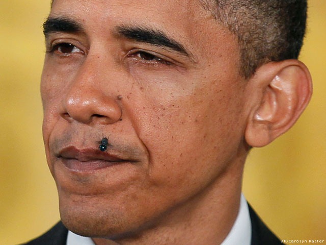 [obama%2520fly%255B3%255D.jpg]