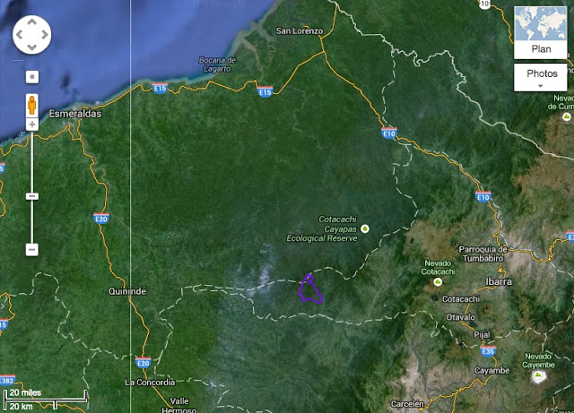Los Cedros (périmètre mauve) au sud de la Réserve écologique de Cotacachi-Cayapas (Équateur)