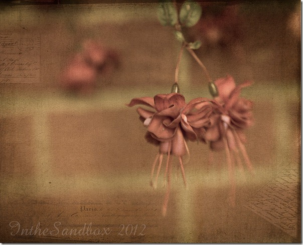 Vintage-Fushia