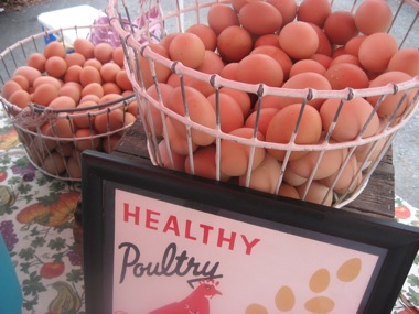 Chicken eggs quattros poultry farm rhinebeck farmers market