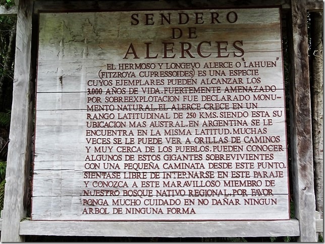Sendero_de_Alerces_DSC01633 Sendero_de_Alerces_DSC01633