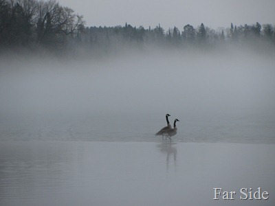 Long Lake Fog March 17