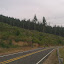 IMAG0306.jpg
