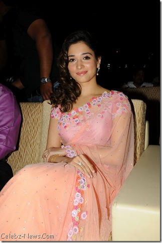Tamanna Hot Saree Pics 4
