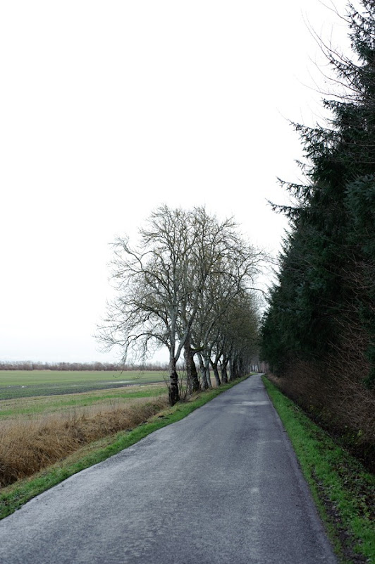 DSC_7208