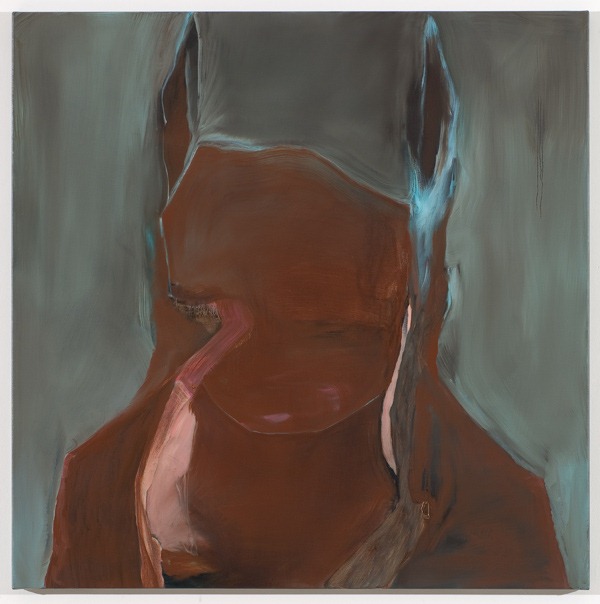stef driesen 4