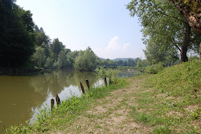 Žaboboj 2011