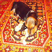 DSCN2483.JPG