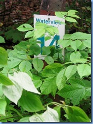 4630 Bass Lake Provincial Park - Waterview Trail hike - Post 14 4630 Bass Lake Provincial Park - Waterview Trail hike - Post 14