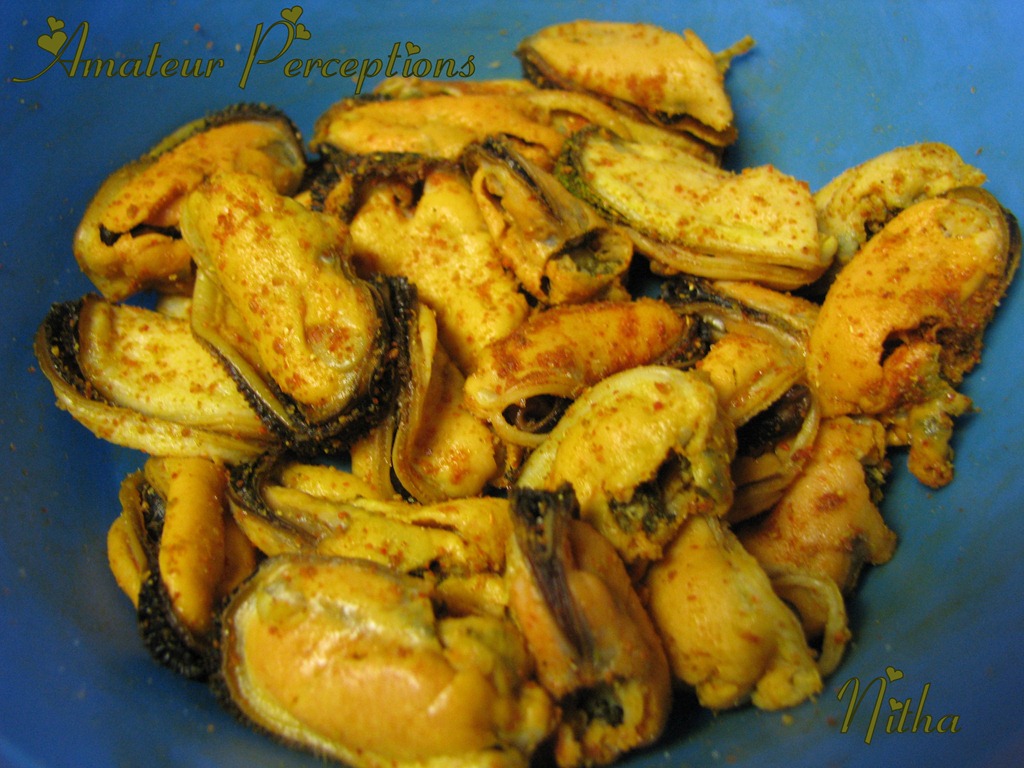[Mussels%2520Fry%25203%255B5%255D.jpg]