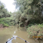 IMG_5768.JPG