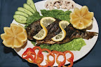 p1240823728(1).jpg
