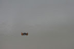 Elusive hippo, hanging out in a waterhole.