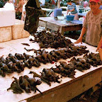 Market - bats