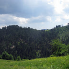 IMG_6307.JPG