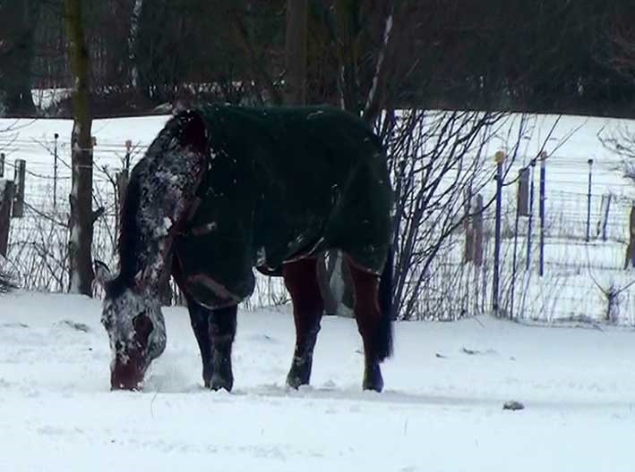 [Schnee13%255B2%255D.jpg]