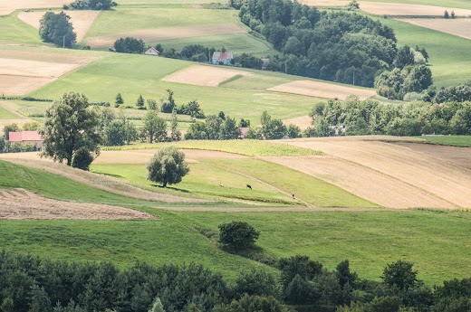 krajobraz z wieży widokowej w Bruśniku DSC_2248.jpg