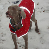 Sampson